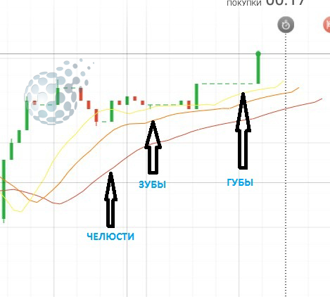 Зубы, губы, челюсти индикатора Аллигатор
